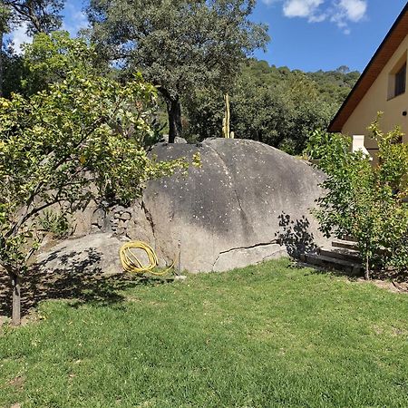 Casa Feliz Villa Sant Cebrià de Vallalta Eksteriør billede