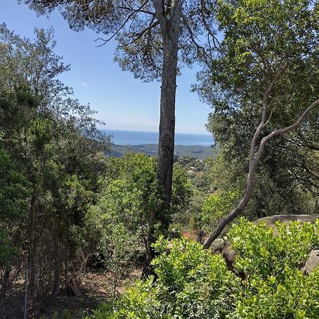 Casa Feliz Villa Sant Cebrià de Vallalta Eksteriør billede