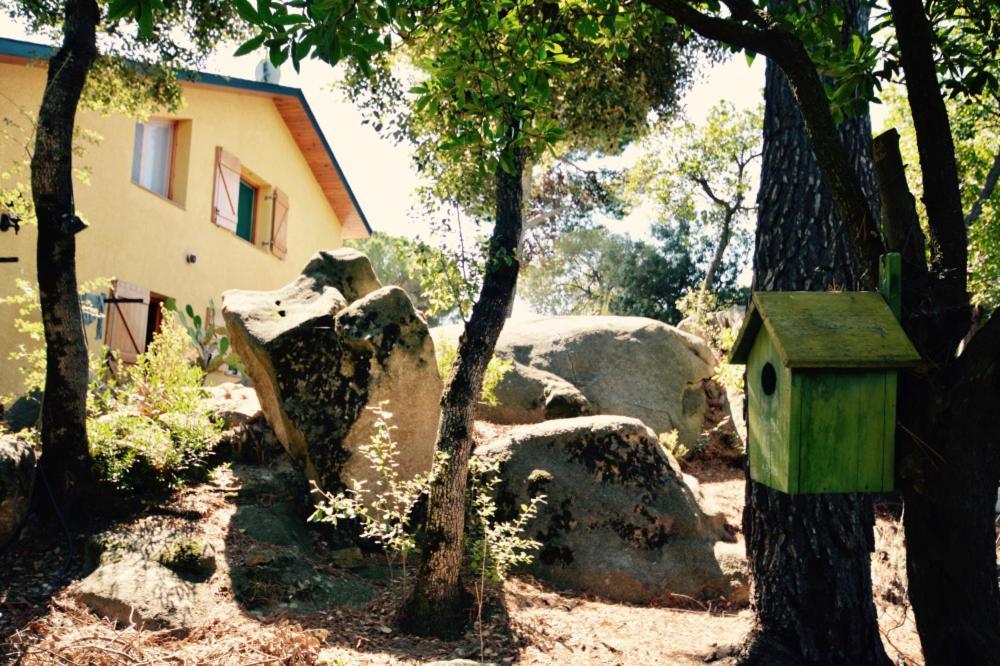 Casa Feliz Villa Sant Cebrià de Vallalta Eksteriør billede