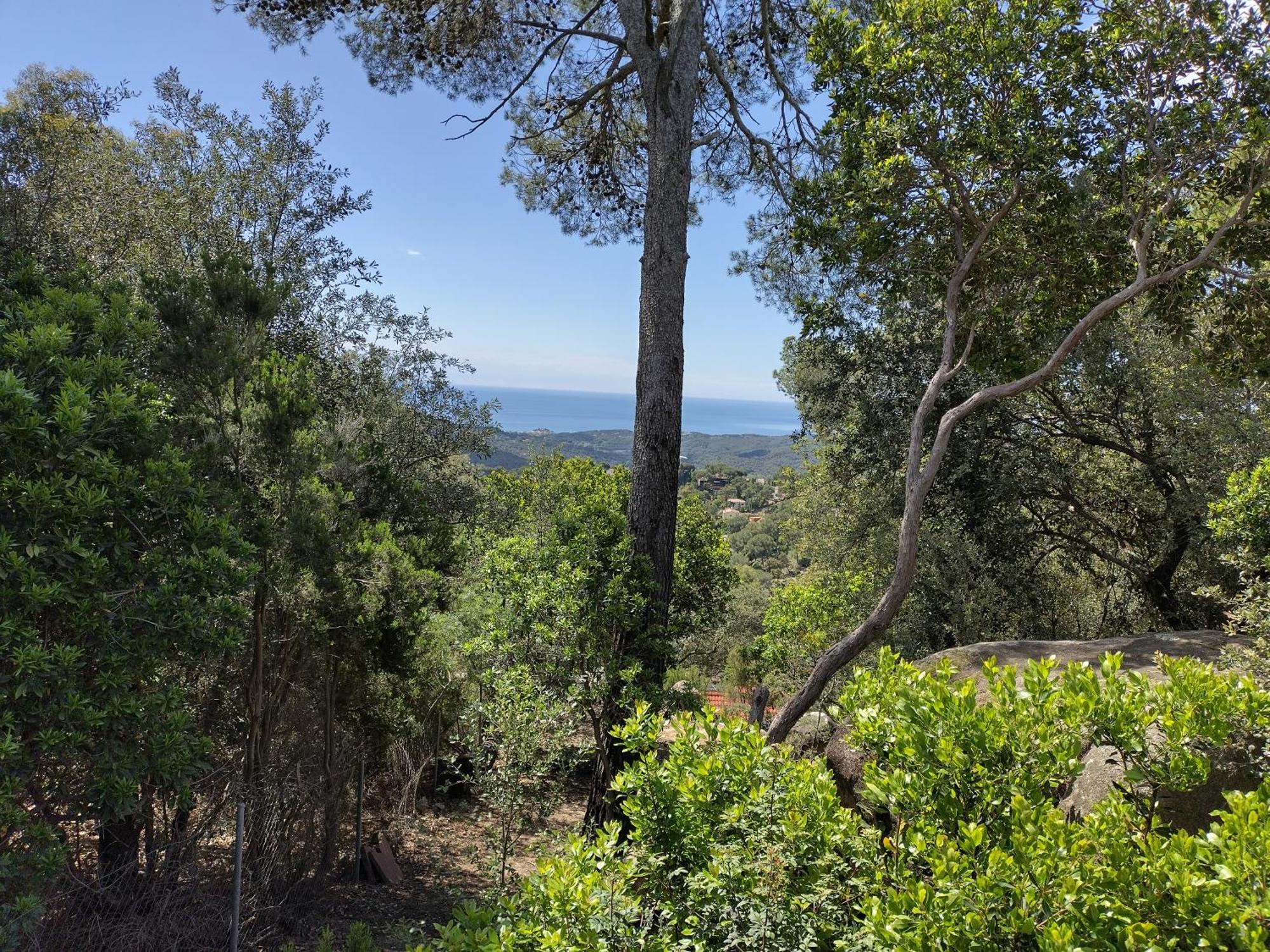 Casa Feliz Villa Sant Cebrià de Vallalta Eksteriør billede