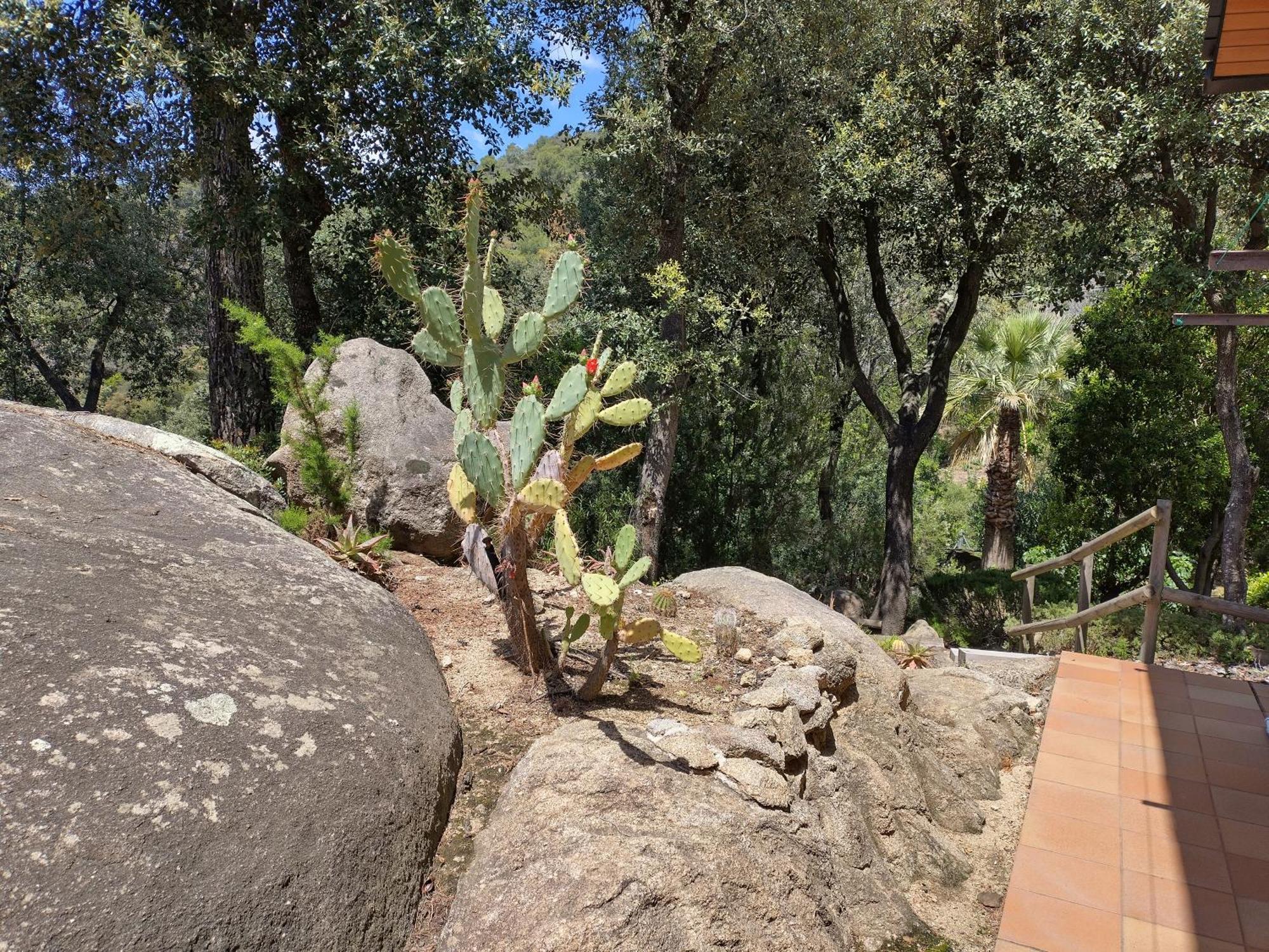 Casa Feliz Villa Sant Cebrià de Vallalta Eksteriør billede